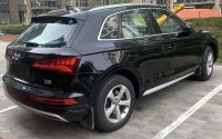 Audi Q5 FY 2020 года, вид сзади