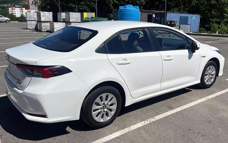 Corolla E210 2019 года, вид сзади