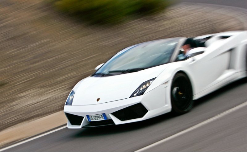 Gallardo считается одной из пяти основных пород…
