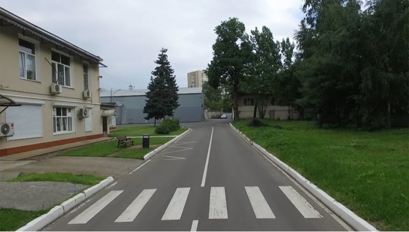 На поверку выяснилось, что зебра на трассе одна и…