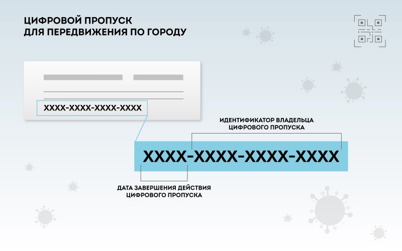 Пропуск представляет собой набор цифр и букв.…