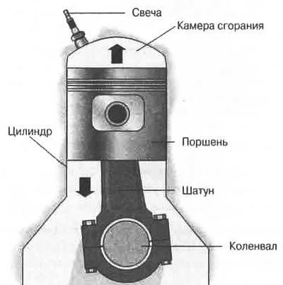 Рис. 6.12. Цилиндр в разрезе