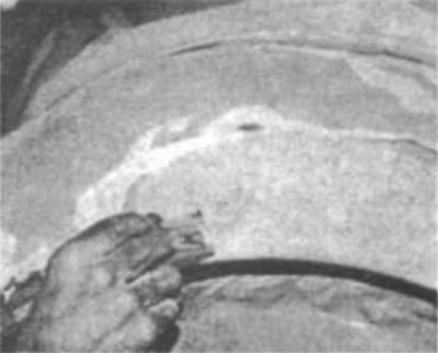Рис. 125. После очередного сглаживания на…