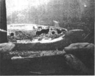 Рис. 159. На примере, показанном на рисунке,…