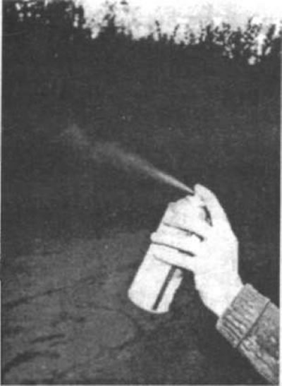 Рис. 54. Перед началом нанесения окончательного…