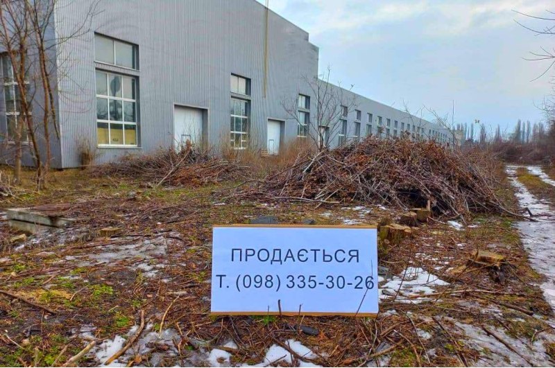 Украинские заводы «ЛуАЗ» и «Богдан» пытаются…