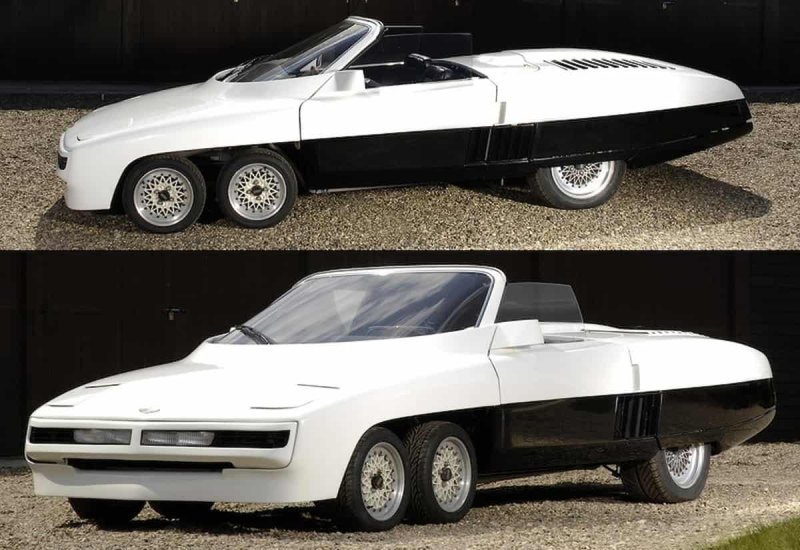 Panther 6