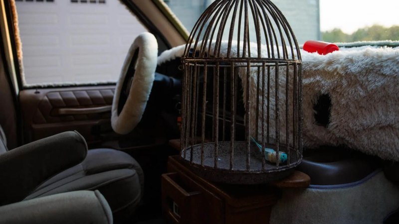 Сбоку на фургоне установлена табличка «Mutts…