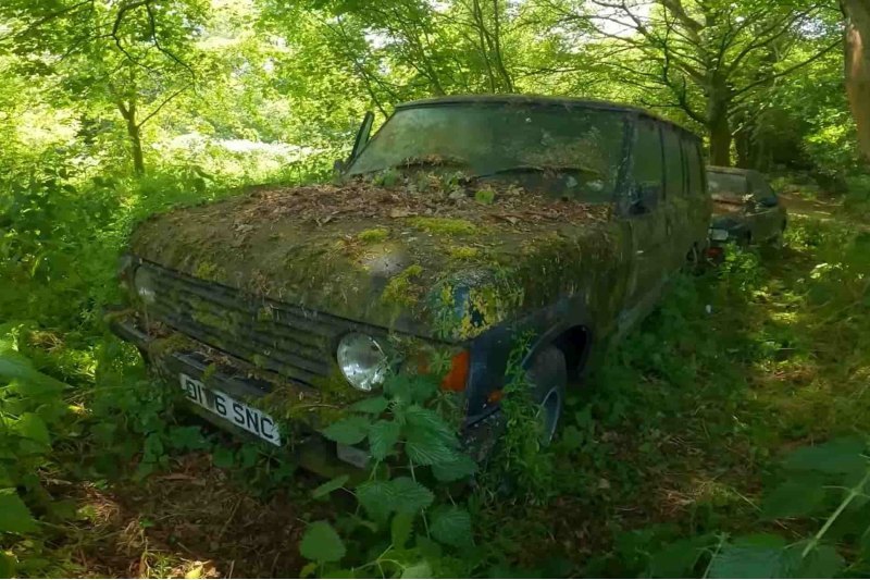 Range Rover, съеденный природой