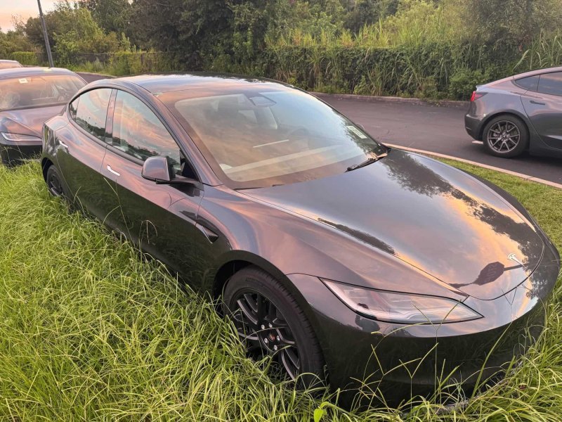Сотни новеньких Tesla брошены под солнцем Флориды…