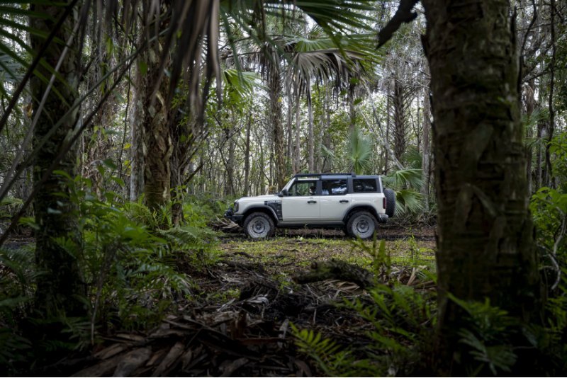 Bronco Everglades имеет уникальные передние и…
