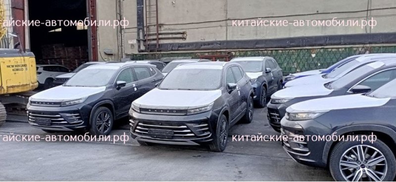 В РФ привезли крупную партию новых премиальных…