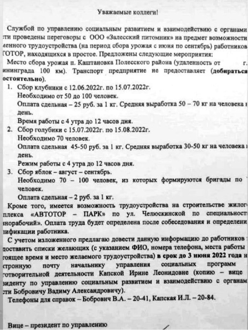 Альтернативная подработка - выполнять обязанности…