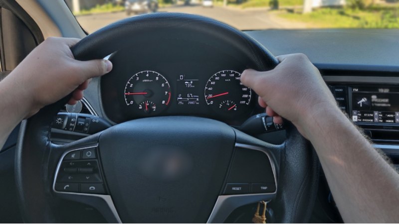 Также участника опроса ответили по поводу своих…