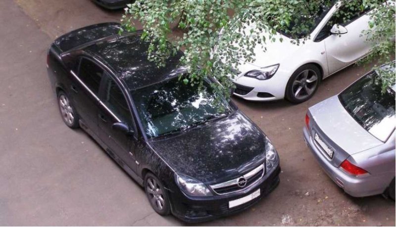 Эксперты NJcar советуют с нескольких ракурсов…