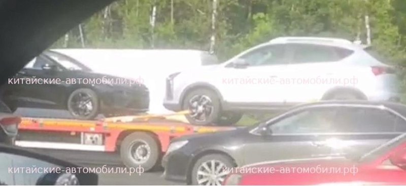 В Россию приехали лифтбеки Sehol Yao, которые…