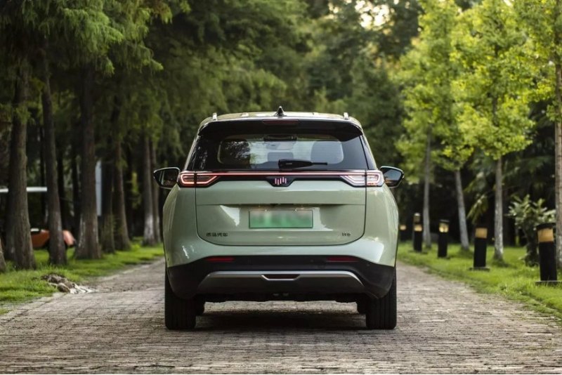 Фирма WM Motor появилась на автомобильном рынке…
