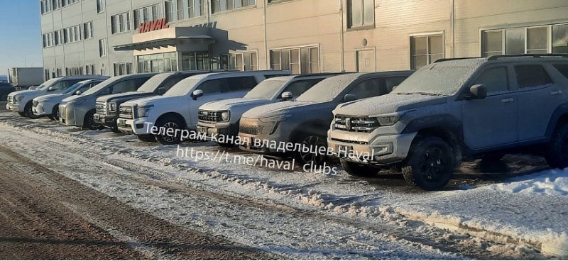 Рядом с автозаводом Haval в Туле нашли пять новых…