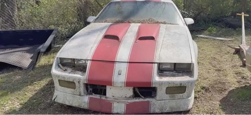 Посмотрите, как этот старенький Camaro помыли…