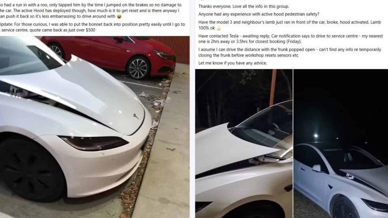 Активировавшиеся капоты Tesla Model 3, требующие…