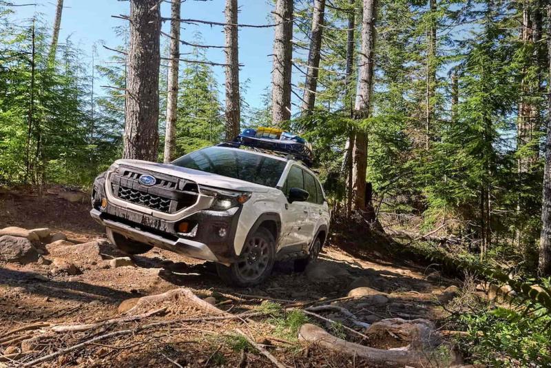 Subaru Forester Wilderness
