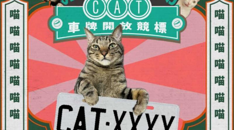 В провинции КНР номерной знак CAT-8888 установил…