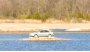 Открыть статью Volvo S80 застрял в необычном месте на 8 лет. Теперь все ищут его на…