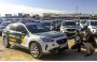 Испанскую полицию пересадили на кроссоверы Cupra Formentor и хэтчбеки…