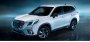 Кроссовер Subaru Forester получил новую спортивную версию STI Sport для рынка…