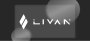 Автокомпания Livan представит в России электрокар и бензиновую модель…