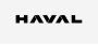 Китайский Great Wall официально представил новый логотип Haval для РФ
