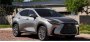 Lexus NX 2025 года получит небольшие обновления и значительную прибавку в цене