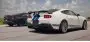 Сможет ли Mustang Dark Horse на 850 сил обогнать стоковый BMW M8 Competition