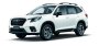 Прошлая версия Subaru Forester представлена в версии STI Sport Edition