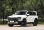 Haval выведет на рынок внедорожник Raptor с дизайном как у авто 90-х