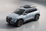 «АвтоВзгляд»: BYD защитила дизайн нового кроссовера в России