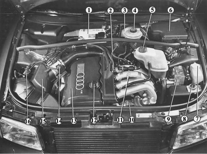 Где находится ауди. Моторный отсек Ауди а4 б5 1.6. Разъемы моторного отсека Ауди а4 2 литра дизель. Ауди а6 датчики моторного отсека. Шланги под капотом Ауди а4.