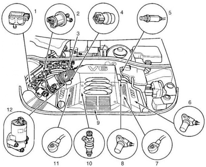 Ауди а4 датчики. Датчики двигателя Ауди а6. Расположение датчиков Ауди а6с6 3,2. Audi a4/1.8 схема датчиков ДВС. Audi a4 b6 схема моторного отсека.