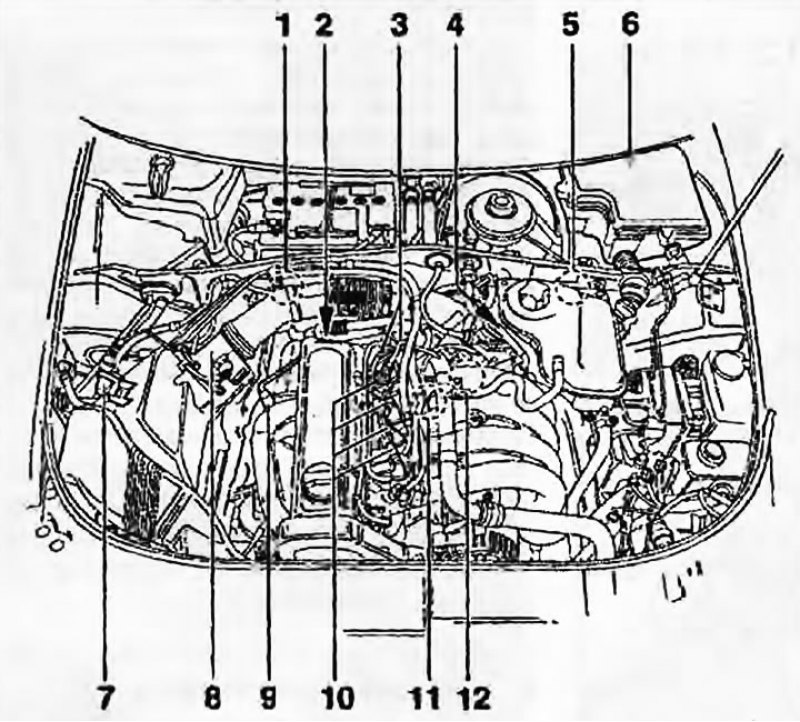 Рис. 1.1, б. Компоненты системы Motronic на…