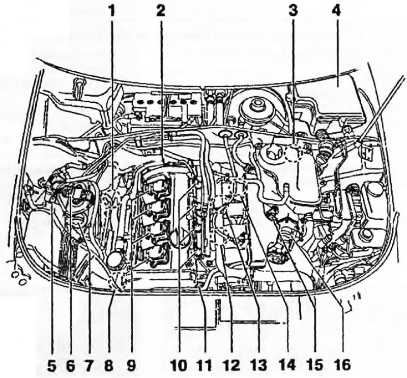 Рис. 1.1, г. Компоненты системы Motronic на…