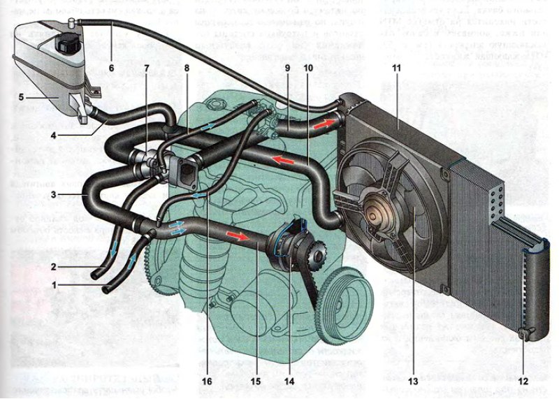 Схема циркуляции охлаждающей жидкости ваз 2110 инжектор 8 клапанов