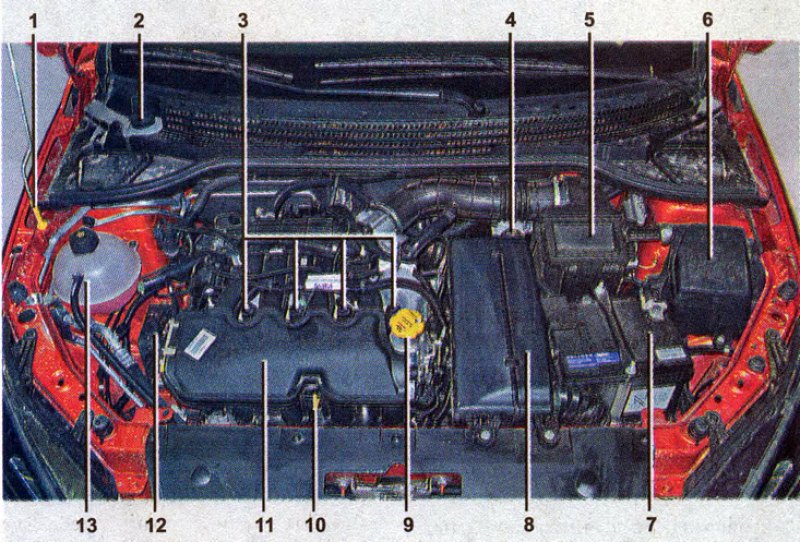Расположение агрегатов под капотом газели