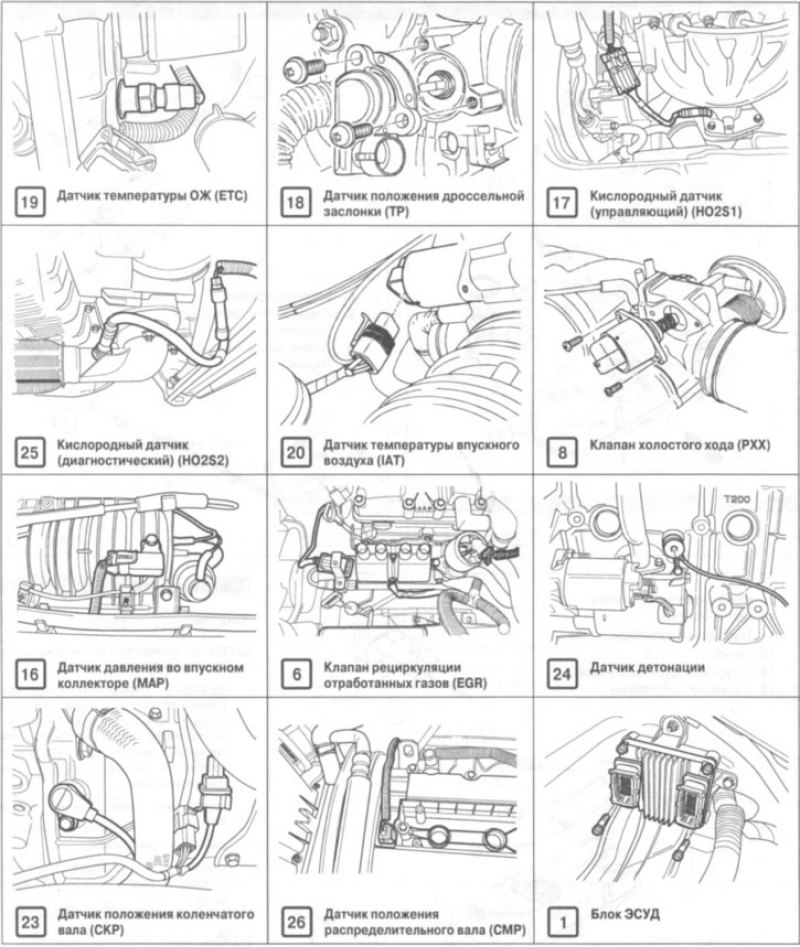 Элементы, расположенные на шине ЭСУД: 1, 2, 3, 4,…