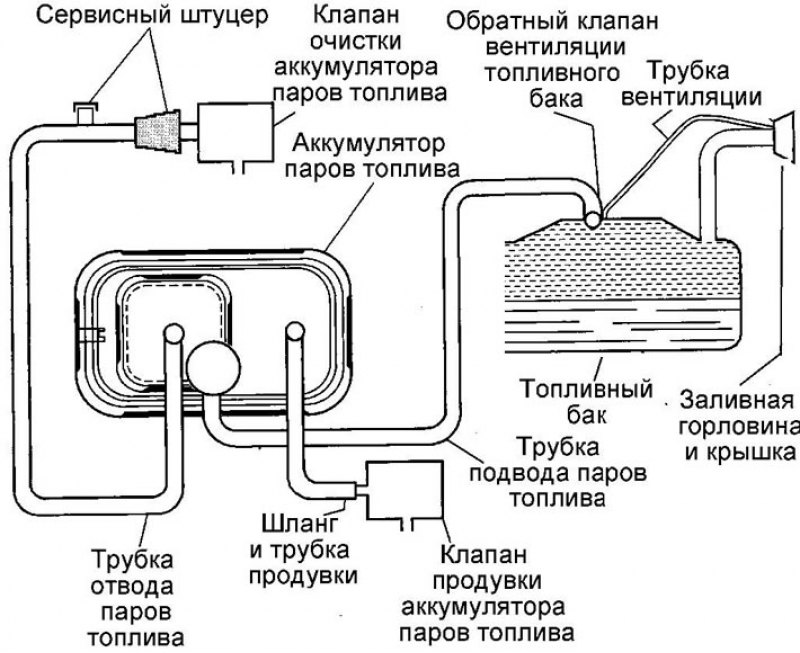Шланги системы улавливания паров топлива (поздние…