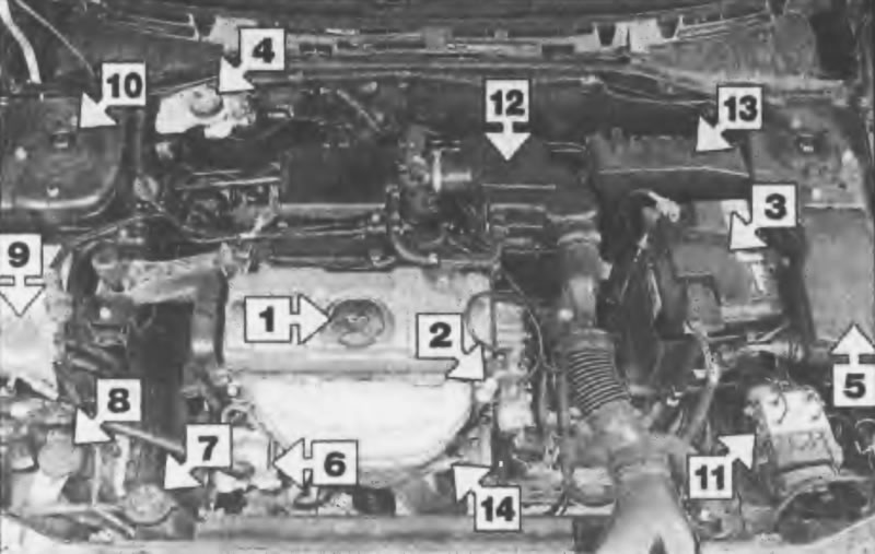 Рис. 1.1. Вид моторного отсека автомобилей с…