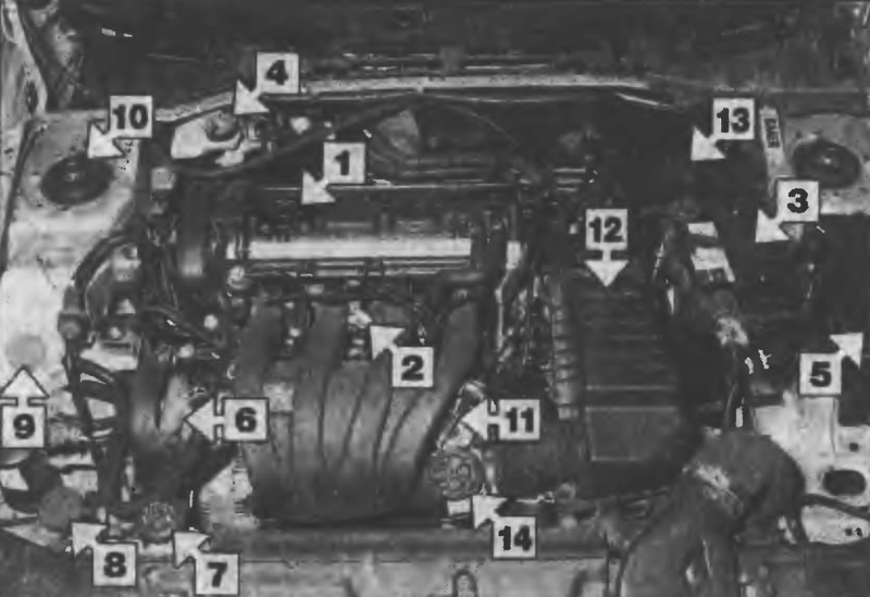 Рис. 1.2. Вид моторного отсека автомобилей с…