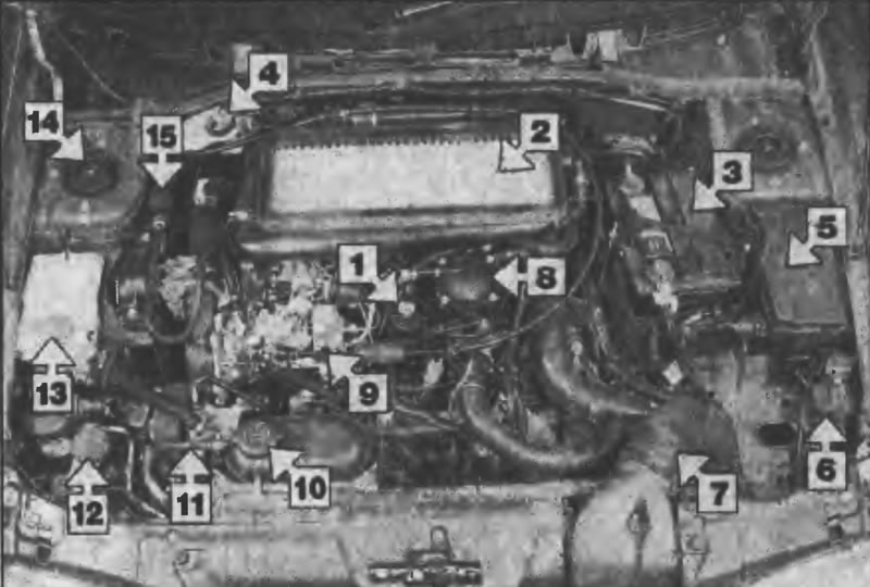 Рис. 1.5. Вид моторного отсека автомобилей с…