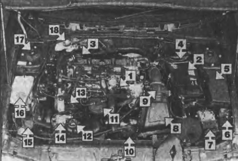 Рис. 1.6. Вид моторного отсека автомобилей с…