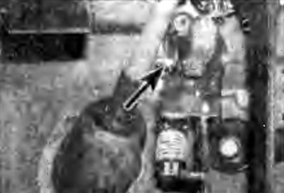 Рис. 6.3. Расположение гайки шарнирного болта…