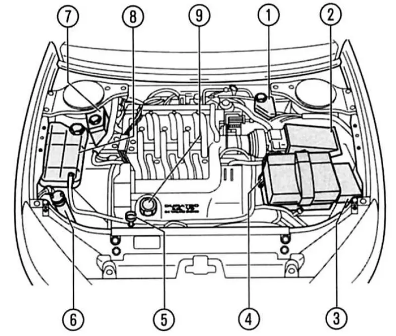 Моторное отделение Duratec-HE 24V: 1 -…